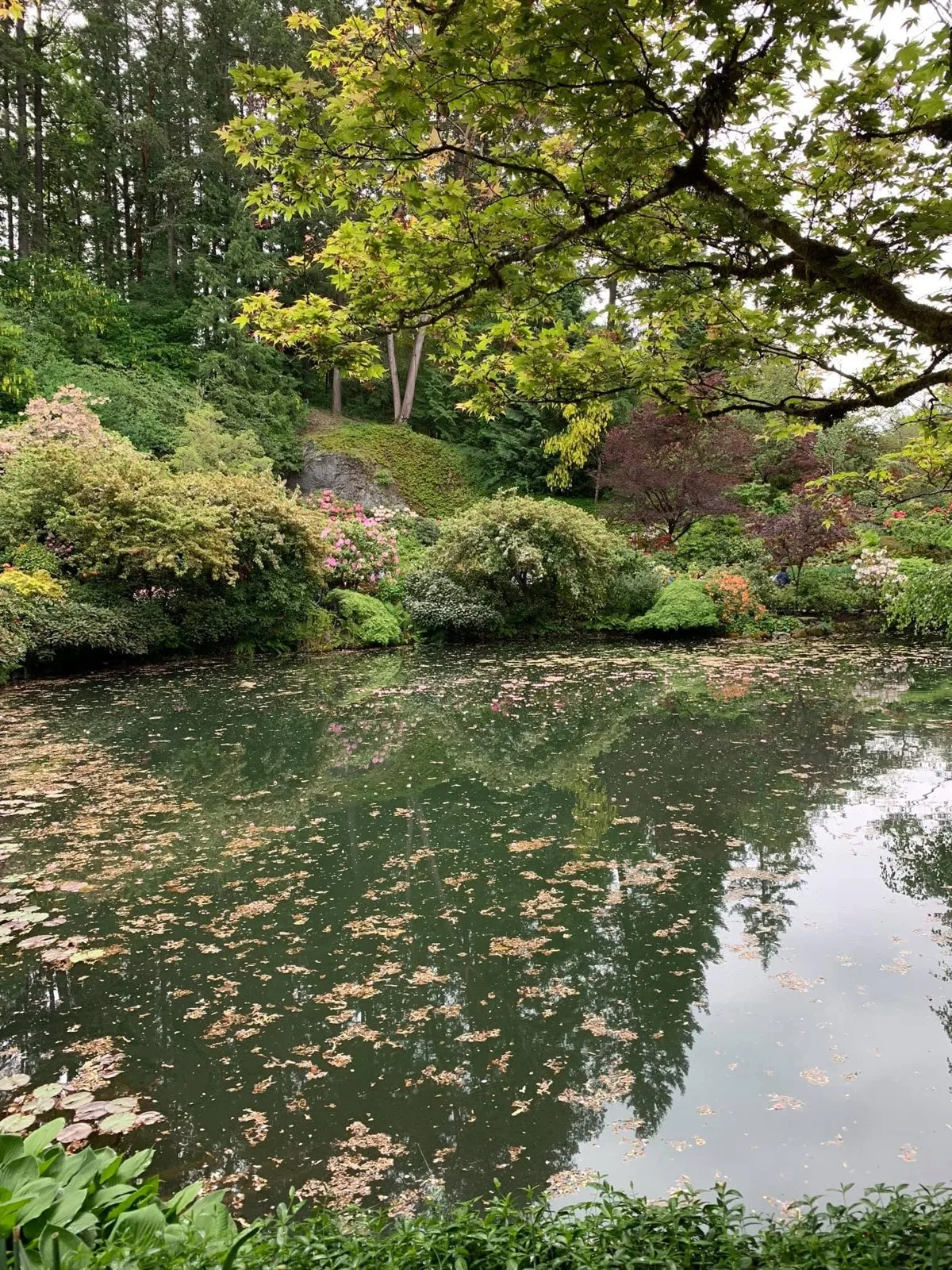 Japanese Garden pond — Victoria, Canada — The Butchart Gardens