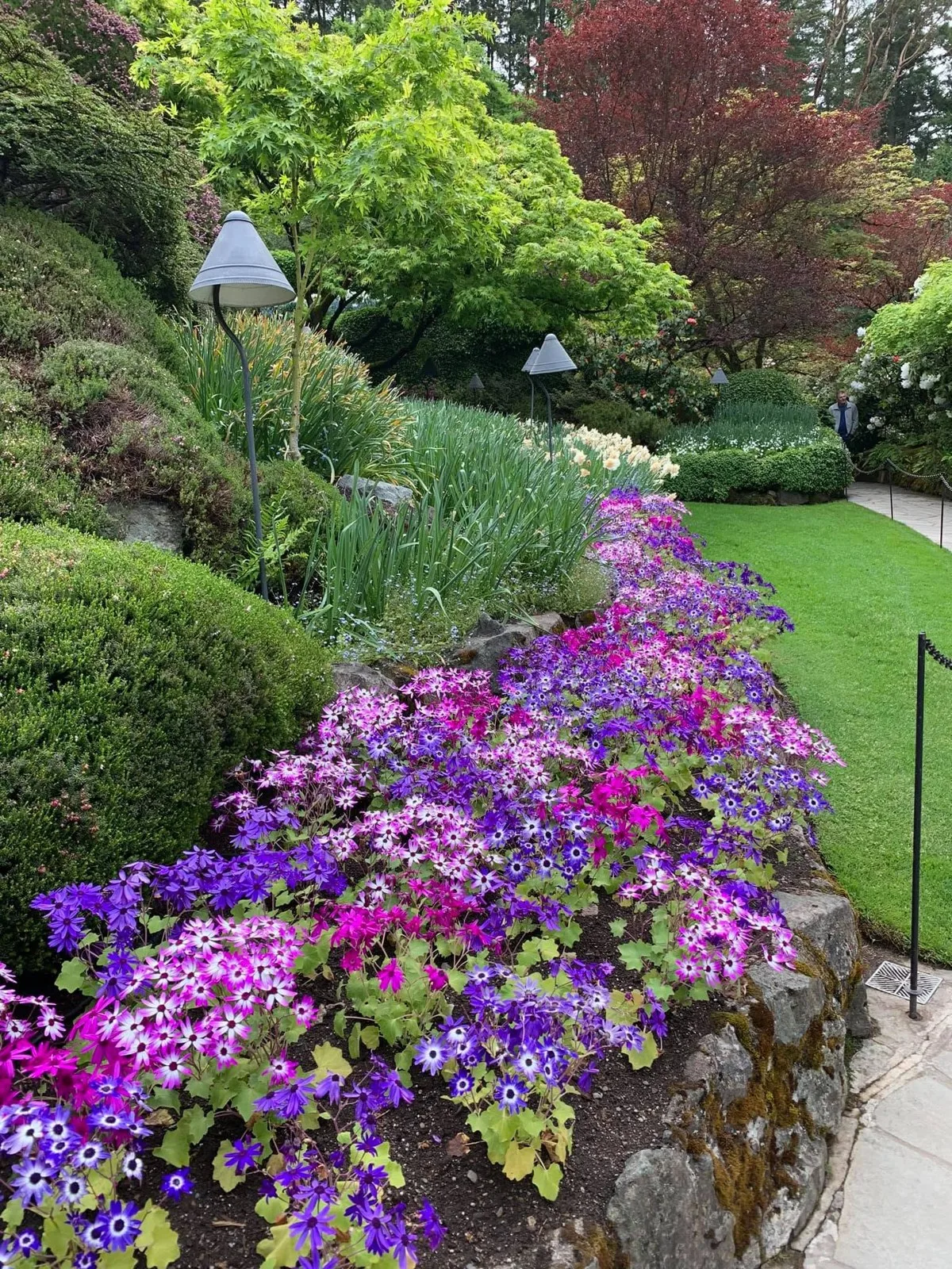 Picture-perfect flower and path composition — Victoria, Canada — The Butchart Gardens
