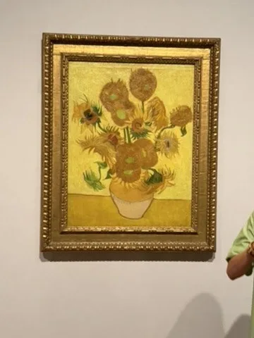 Sunflowers in its museum setting — Amsterdam — Van Gogh Museum
