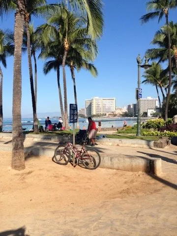 Waikiki shoreline and palms — Oʻahu — Waikiki Beach