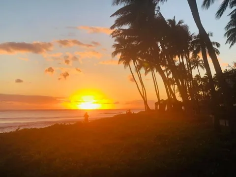 Hawaiian sunset through the palms — Hawaii