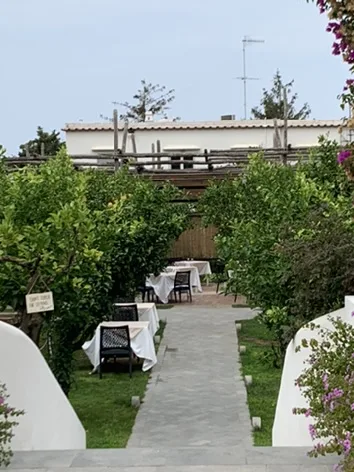 Capri's celebrated lemon garden — Capri and its lemons