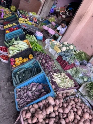 Marrakesh — palace and medina — a view worth remembering