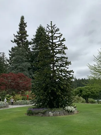 Victoria — Butchart Gardens — the landmark in its setting