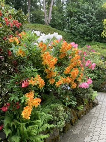 Victoria — Butchart Gardens — the journey in one frame