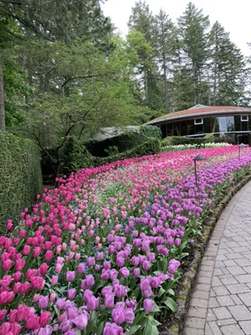 Victoria — Butchart Gardens — a closer look