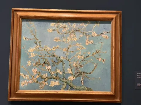Amsterdam — Van Gogh Museum — a place people dream of seeing
