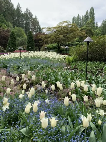 Victoria — Butchart Gardens — a place people dream of seeing