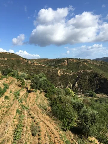 Crete — Chania and Souda — the journey in one frame