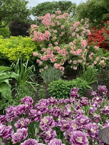 Victoria — Butchart Gardens — a view worth remembering