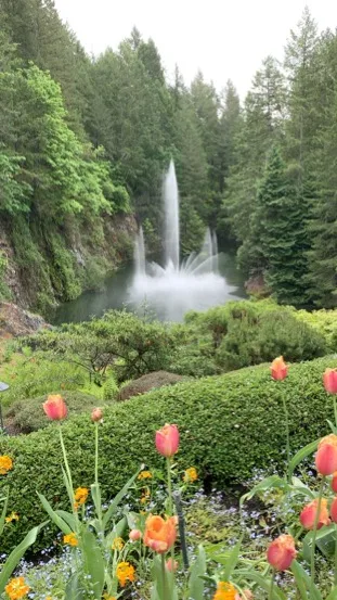 Victoria — Butchart Gardens — a postcard moment