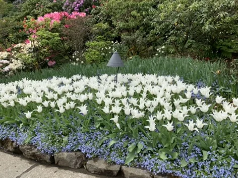 Victoria — Butchart Gardens — a closer look