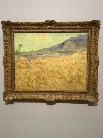 Amsterdam — Van Gogh Museum — the journey in one frame