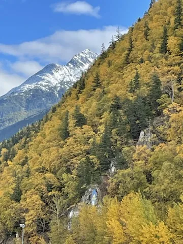 Alaska — aurora and Inside Passage — a view worth remembering