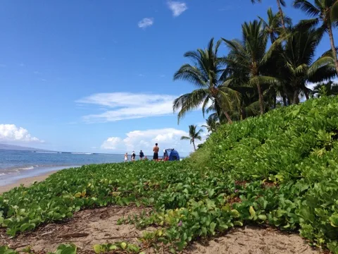 Hawaiʻi — volcanoes, water and island life — the landmark in its setting