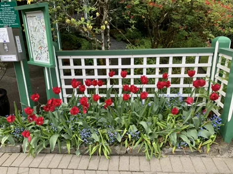 Victoria — Butchart Gardens — a view worth remembering